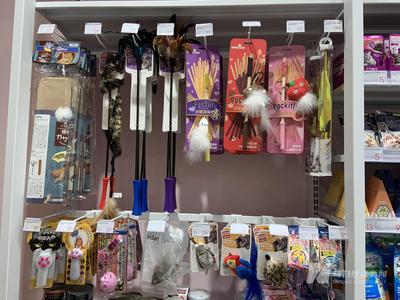 寵物用品公司沖刺A股 貼牌出口占主導(dǎo)，過半狗繩依賴外協(xié)生產(chǎn)