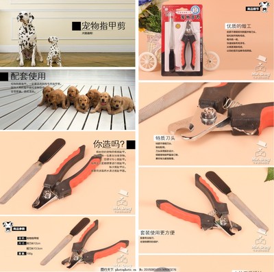 專業寵物指甲剪 為您的愛寵提供安全舒適的修剪體驗