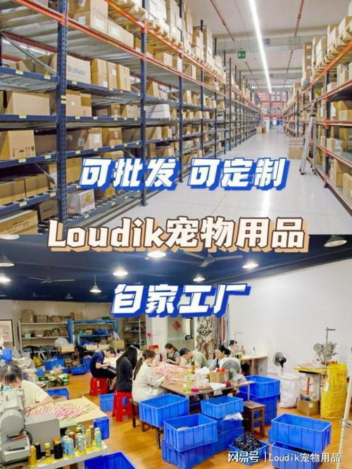 它經濟持續升溫，LOUDIK寵物用品供應商助你速開爆品