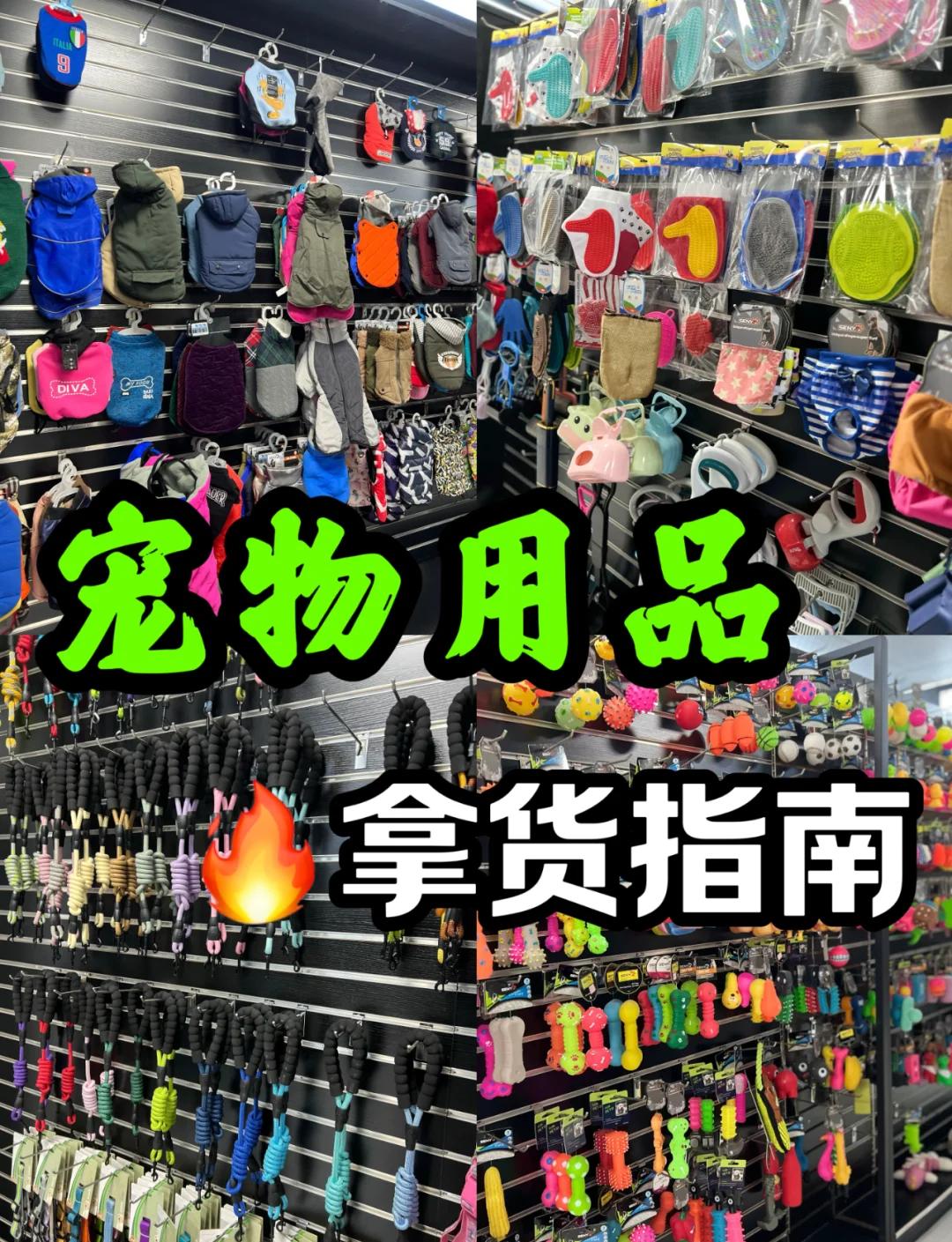 義烏寵物用品批發(fā)市場(chǎng)全攻略 新手入門必讀指南