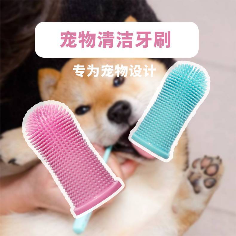 狗狗口腔清潔新選擇 詳解硅膠手指套牙刷